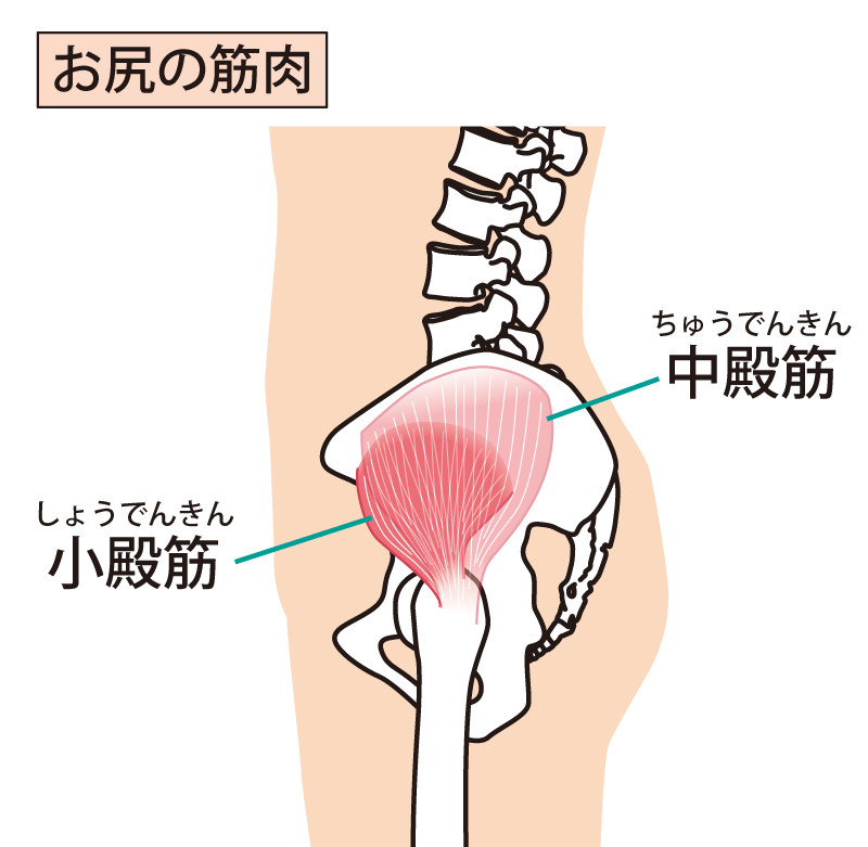 膝の痛み改善専門ほりもとパーソナルトレーニングスタジオ