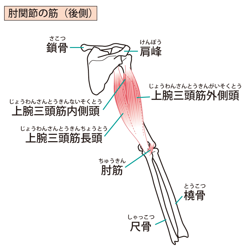 膝の痛み改善専門ほりもとパーソナルトレーニングスタジオ